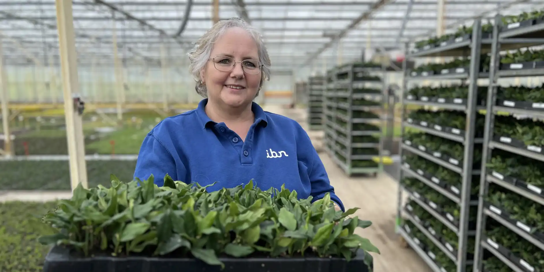 Corrie in de kwekerij