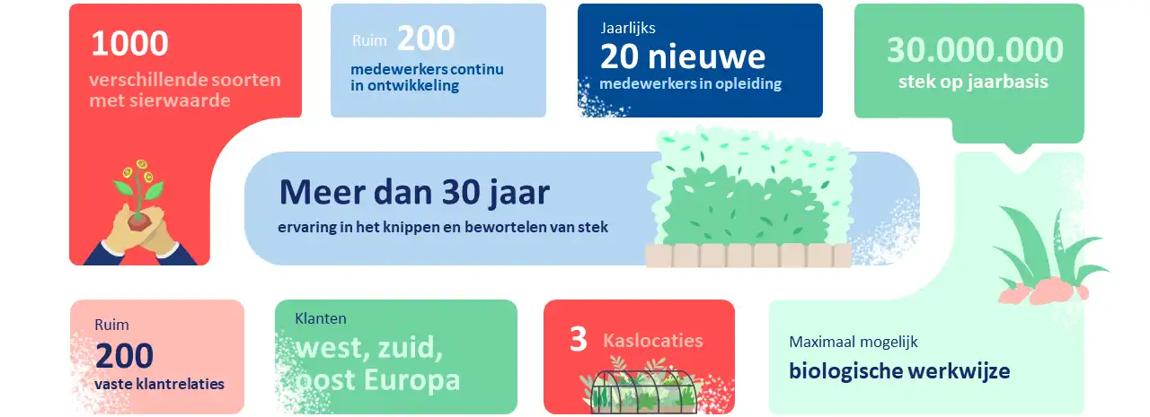 Facts over de kwekerij