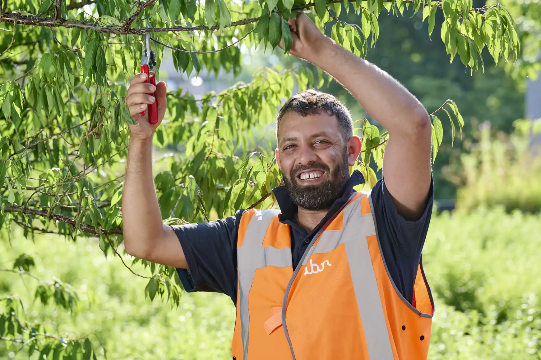 Amjad aan het werk met het snoeien van een boom