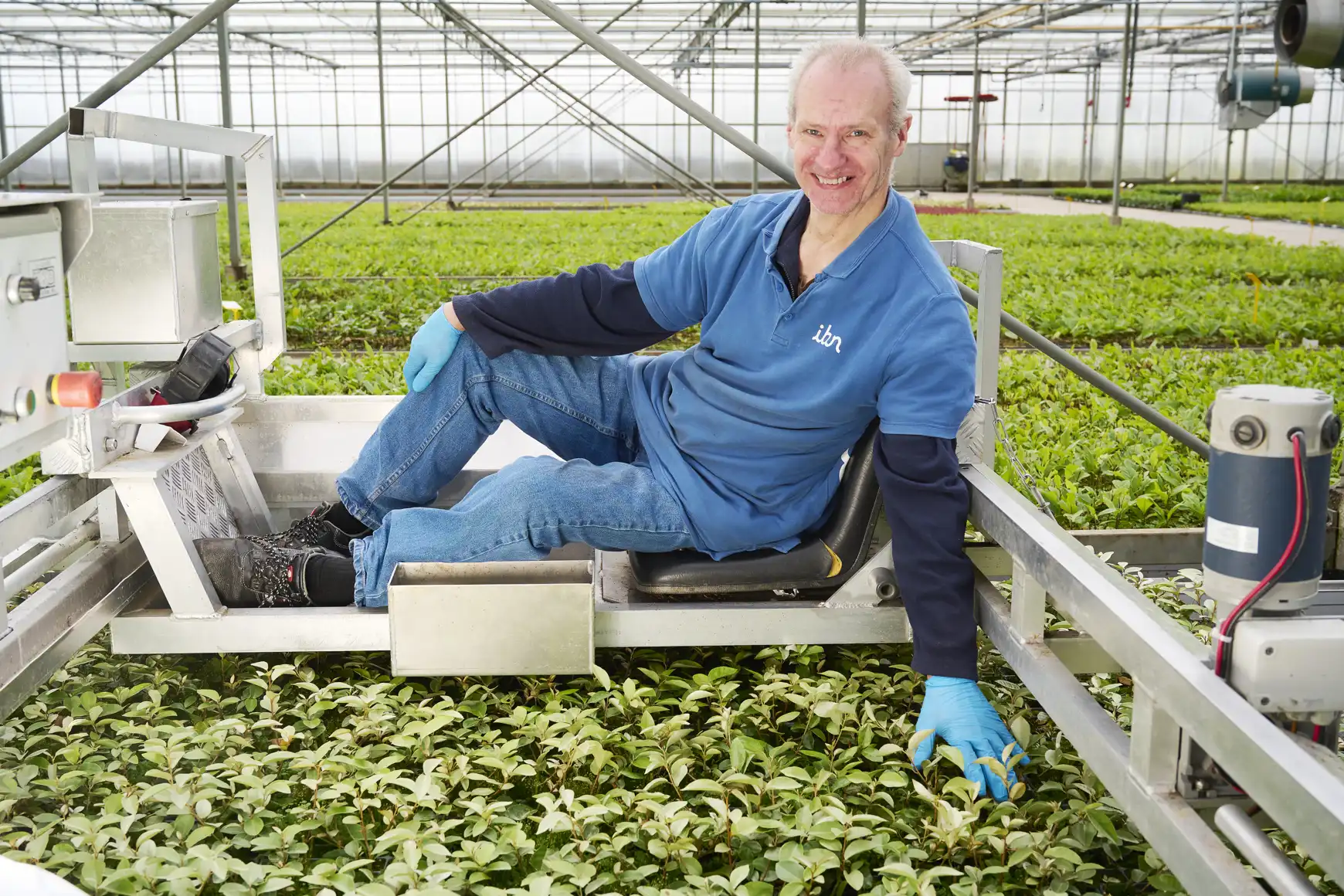 Henny op de wiedwagen in de kas