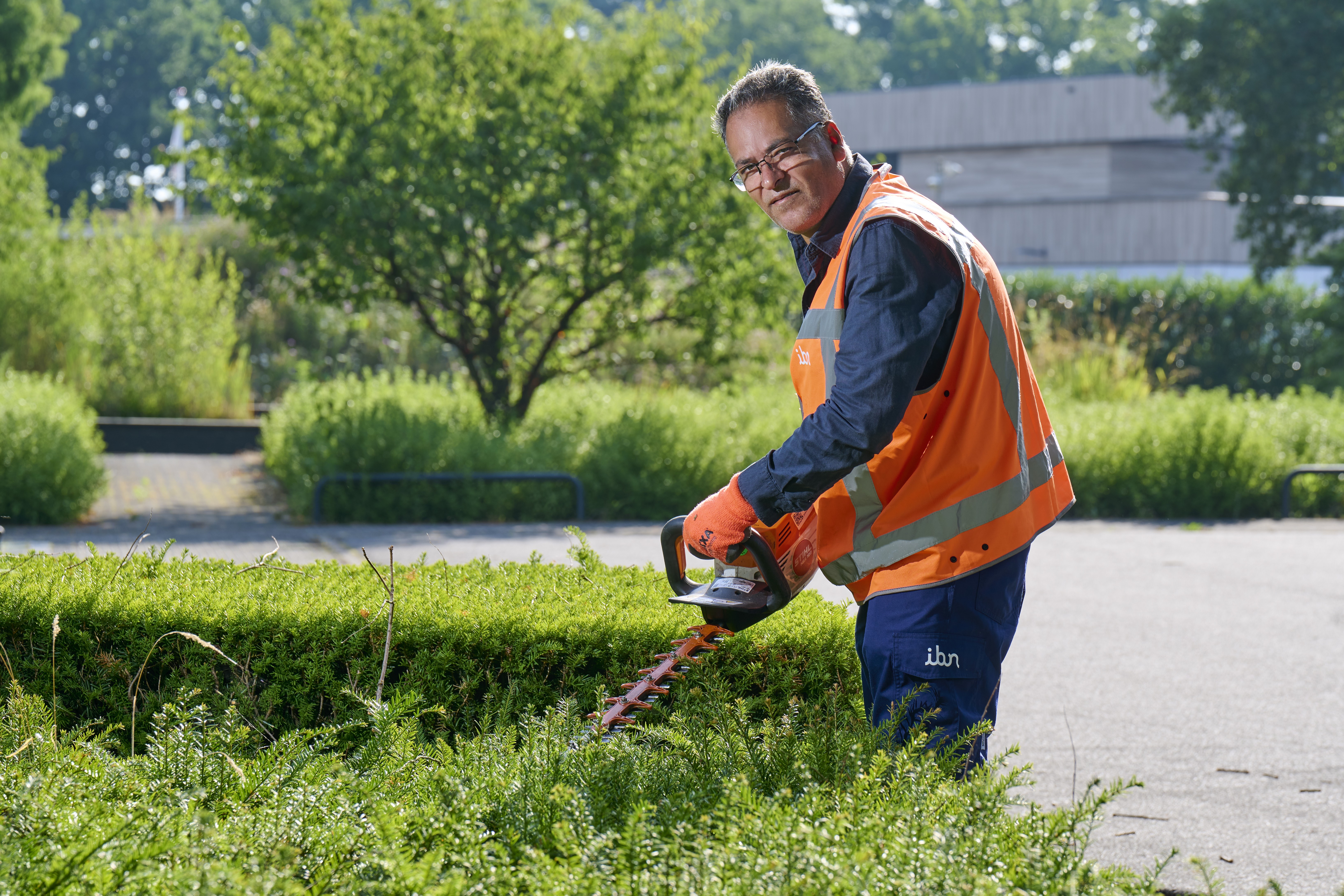 Fahd snoeit een heg