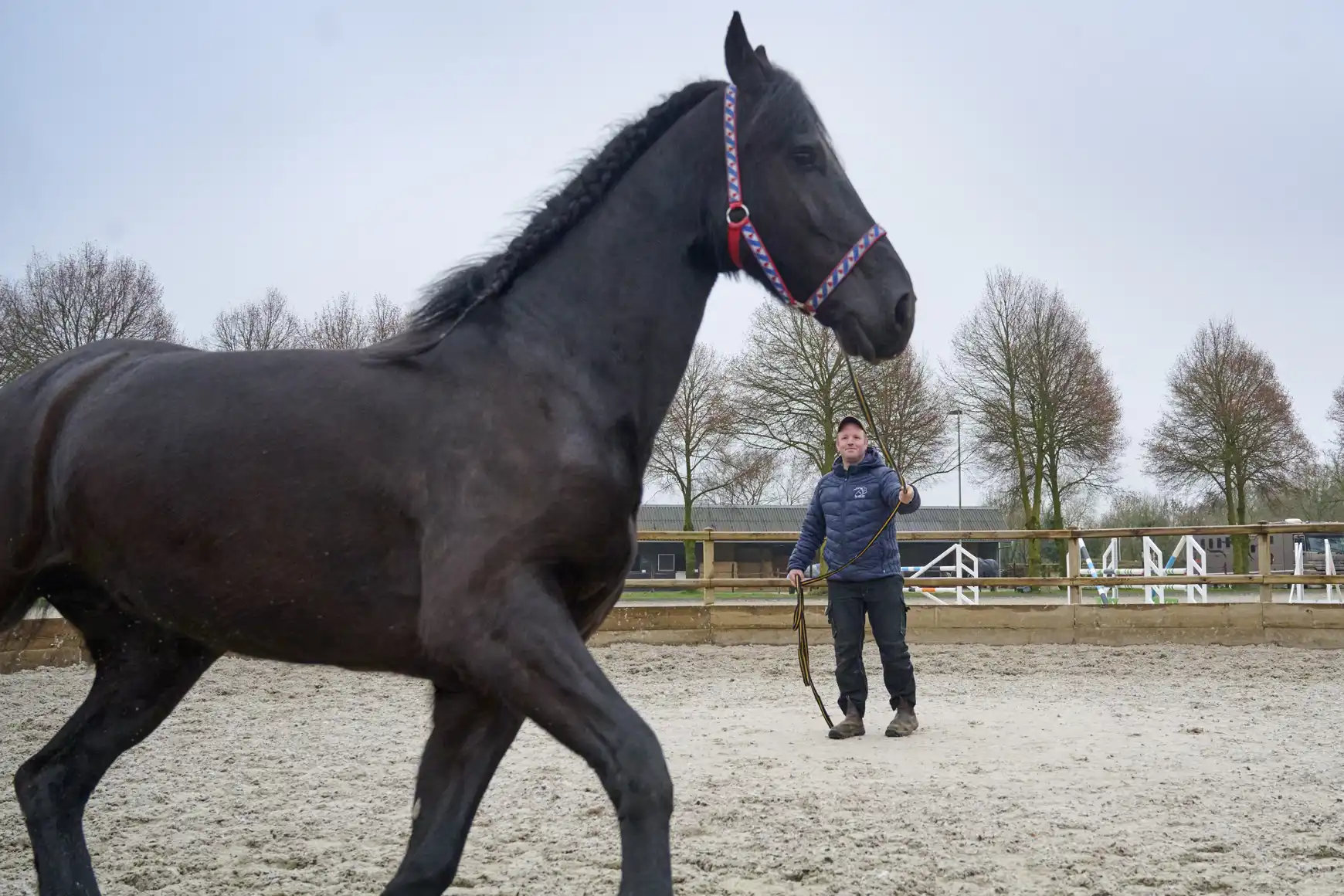 Jan-Willem laat de paarden longeren in de bak