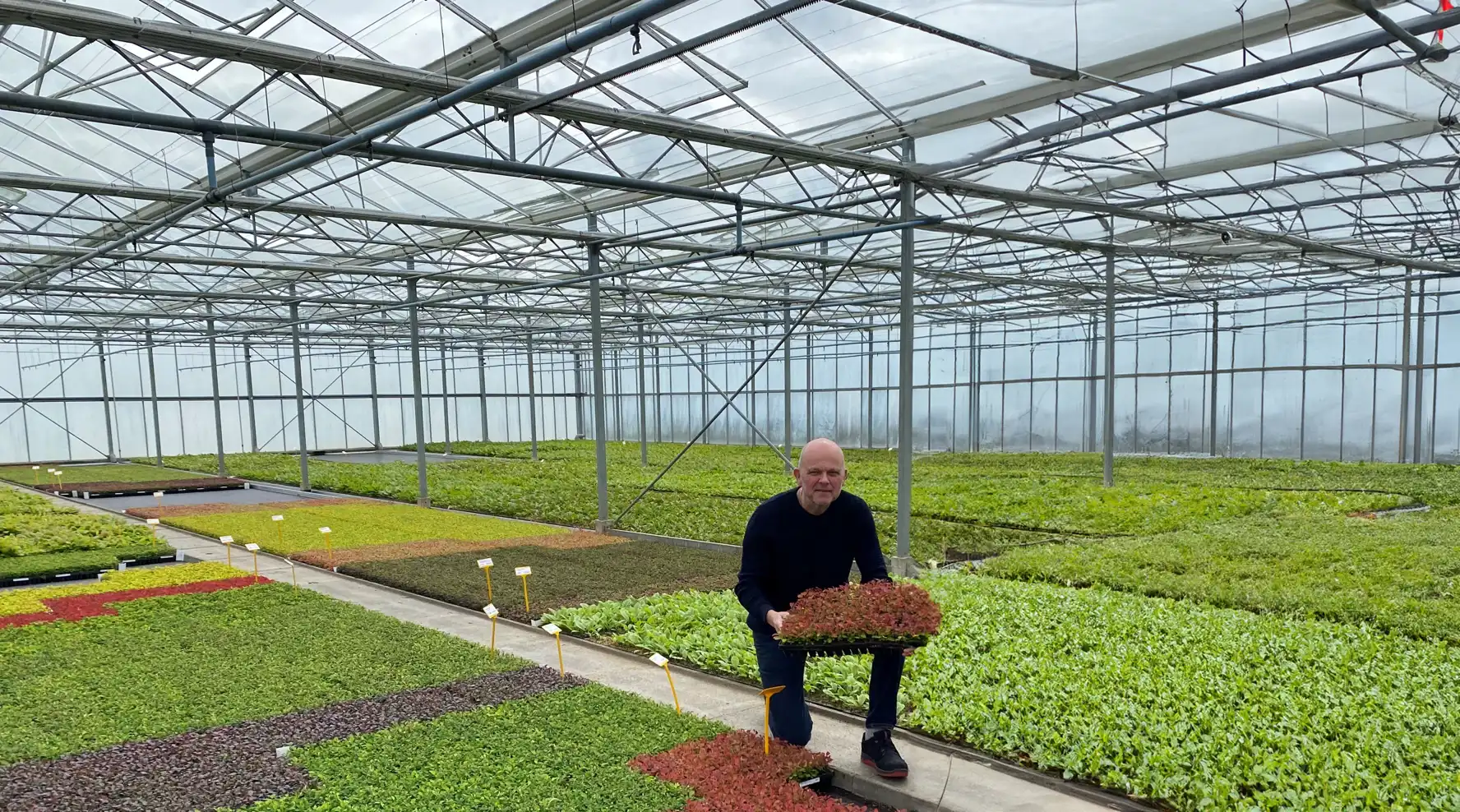 Supervisor Gerard over werken bij de kwekerij
