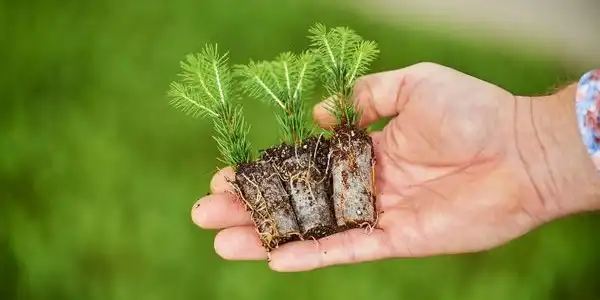 Drie combi green plug in de hand