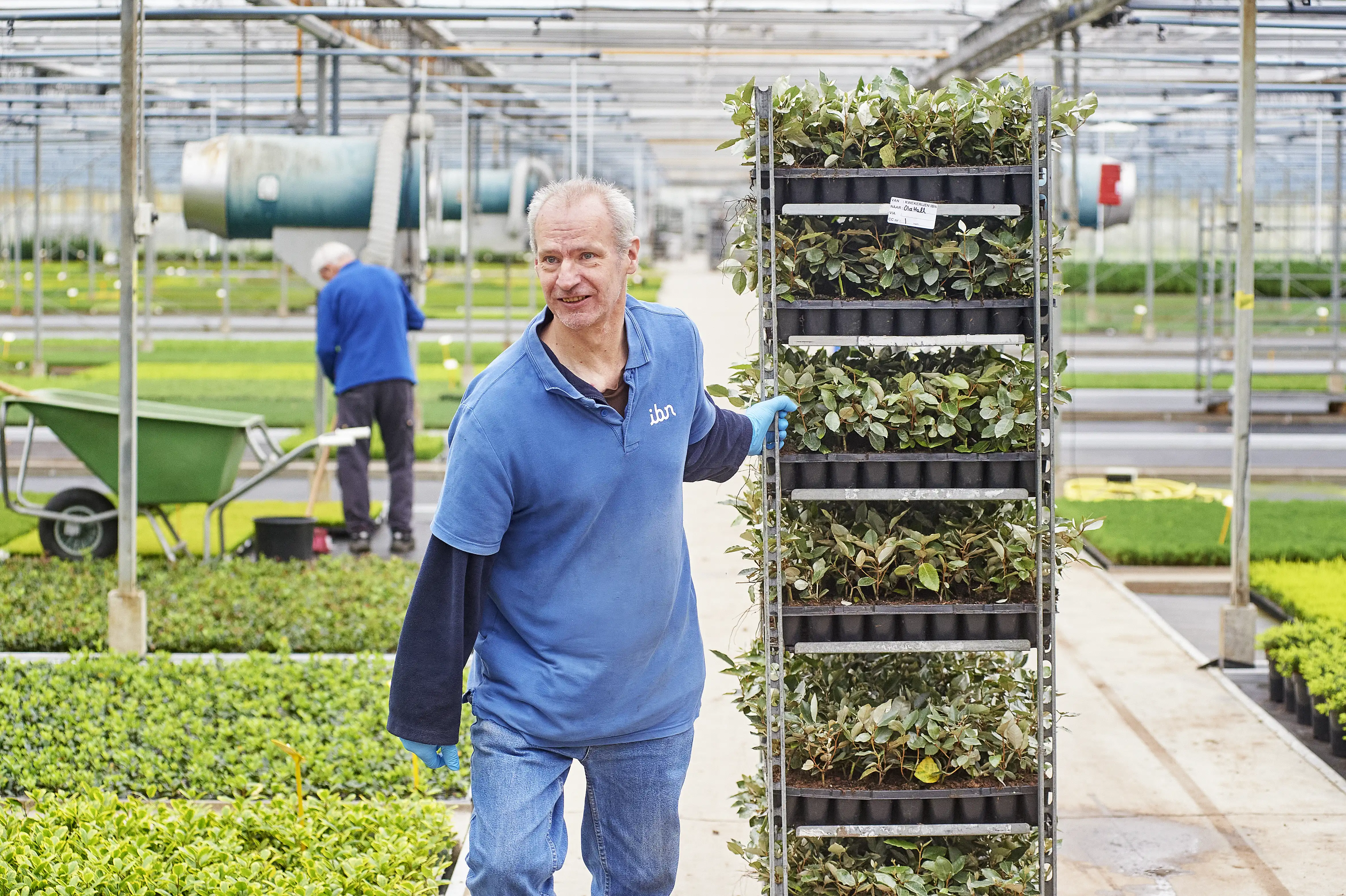 Henny met een kar vol stekjes in zijn handen