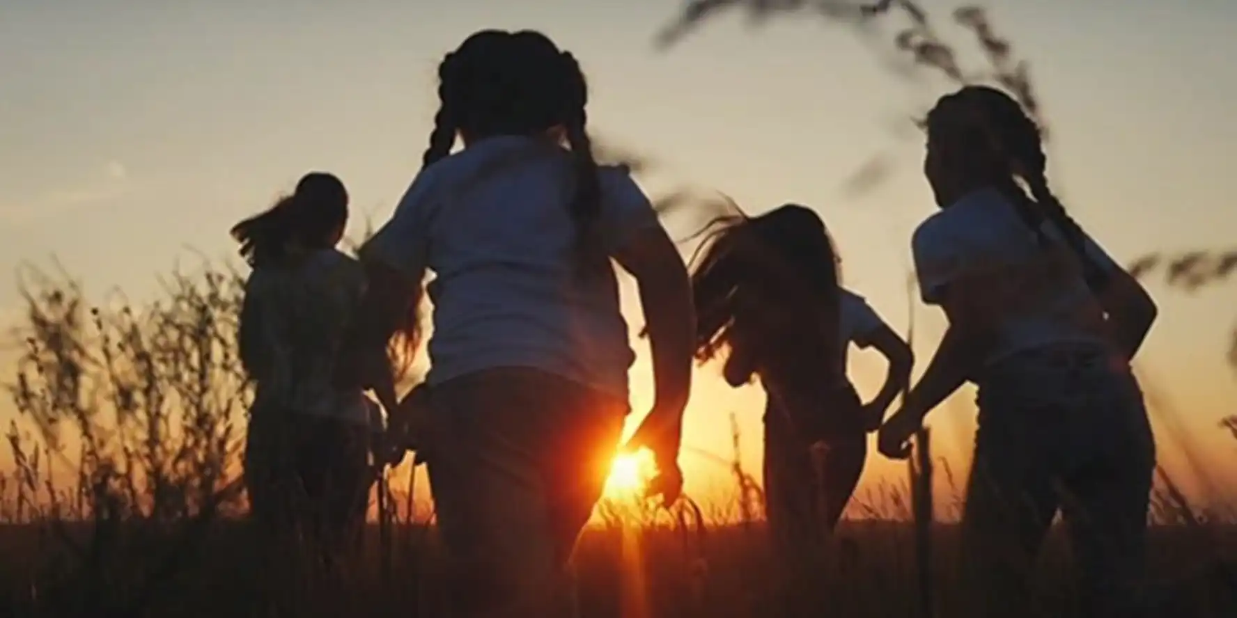 Bekijk de filmclip over IBN