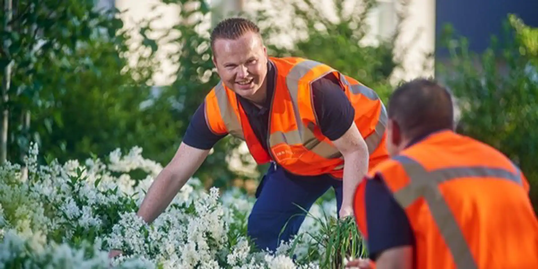 Leer het vak groen in de werkleerlijn groenvoorziening